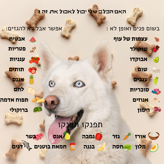 האם הכלב שלי יכול לאכול את זה ?