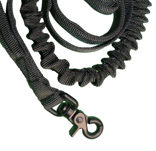 Leash with 2 handles