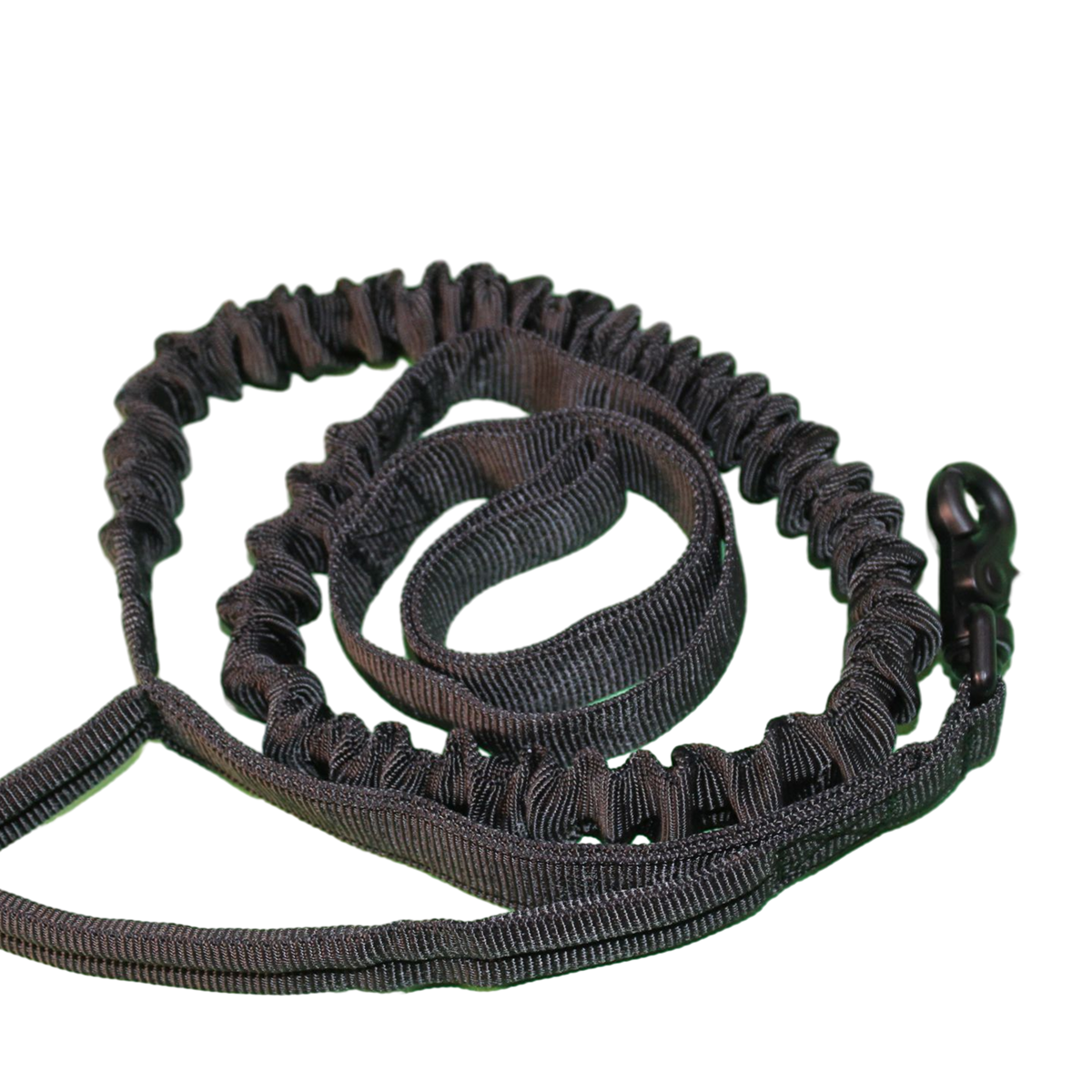 Leash with 2 handles